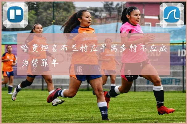 哈曼坦言布兰特应早离多特不应成为替罪羊